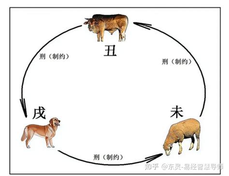 八字辰戌丑未|八字命理：辰戌丑未四库入命有何影响？